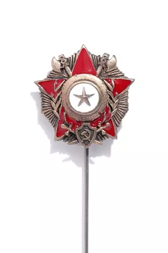The Hannibal Pin