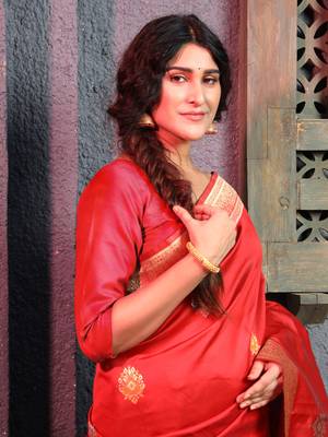 Red hand woven banarasi saree with blouse 2
