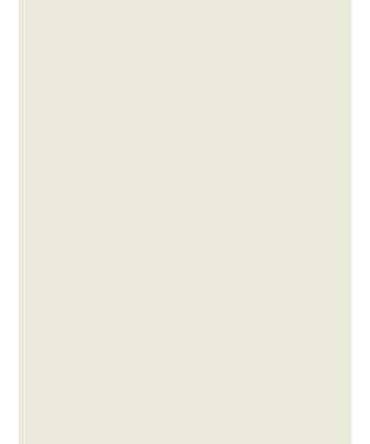 Eyda Premium Velvet Ivory Color Eyelet Window Door Curtain 2