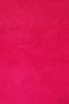Eyda Premium Velvet Fuschia Color Eyelet Window Door Curtain