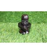 Salvus Black Marble Shivling Idol for Gifts Antique Items Pooja, Shivling Idol for  Home,-(2x3-Inches)