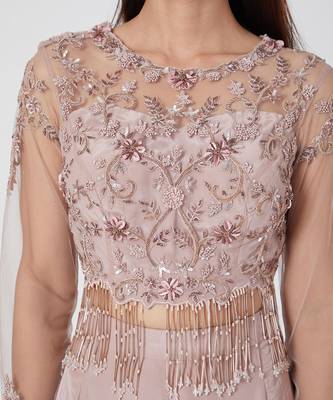 Pastel Palazzo With Back Net Top 2