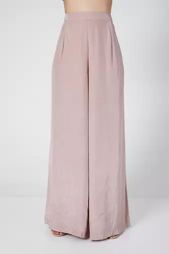 Pastel Palazzo With Back Net Top
