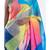 crystal digital printed satin georgette saree