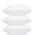 Ultra Fluffy Soft Microfiber Cushion Insert Filler 3pc 16 X16 (allergyguard) solidwhite