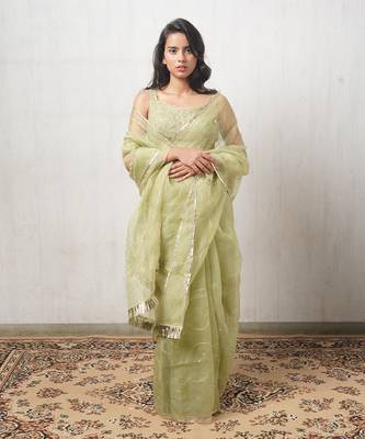 Light Green Kasturi Organza Saree Set 1