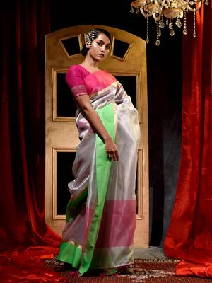 Handloom Silver Tissue Silk Saree with Blouse Piece 3