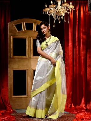 Handloom Silver Tissue Silk Saree with Blouse Piece 1
