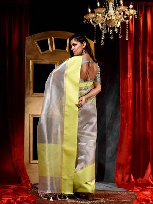 Handloom Silver Tissue Silk Saree with Blouse Piece 2