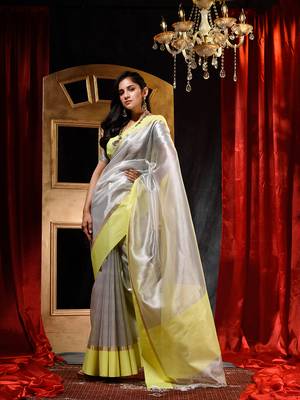 Handloom Silver Tissue Silk Saree with Blouse Piece 4