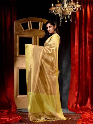 Handloom Golden Tissue Silk Saree with Blouse Piece 4