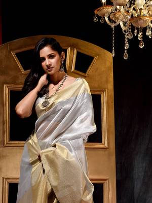 Handloom Silver Tissue Silk Saree with Blouse Piece 5