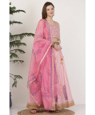 Kaanchie Nanggia Silk Pink printed Lehenga Set 3