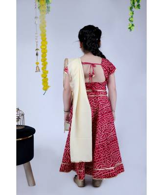 Banjara India Kutchi Emboidered Yellow Girls Chaniya Choli with Dupatta (CC-BANDHEJ) - Red 2