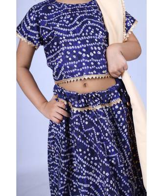 Banjara India Kutchi Emboidered Yellow Girls Chaniya Choli with Dupatta (CC-BANDHEJ) - Blue 4