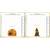 Lakshmi-Ganesha Laxmi Ganesh Darbar Sai Baba of Shirdi Blessing Murti Combo Set 2 Idol Statue Showpiece