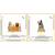 Lord Jagannath, Balabhadra and goddess Subhadra Ji Shiva doing meditation (multicolour-Small) Set of 2 Idol Statue