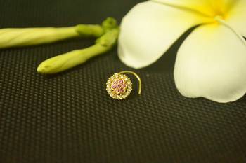 Purple diamond nose-ring 1