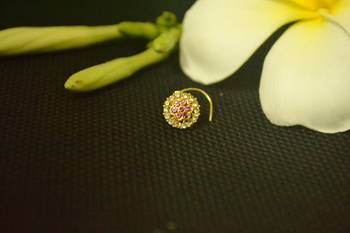 Purple diamond nose-ring 2