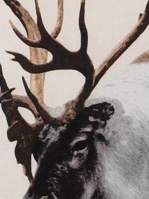 Larry Deer Animal Grey Digital Print Cotton Set of 2 Cushion Covers 4