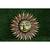 Salvus Metal Surya Idol for Vastu Good Luck Success and Prosperity for Positive Energy(Multi_7x7 in)