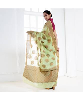Mint green banarasi organza silk saree with antique copper zari motifs and border 4