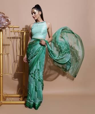Green Chiffon Saree And Blouse 1