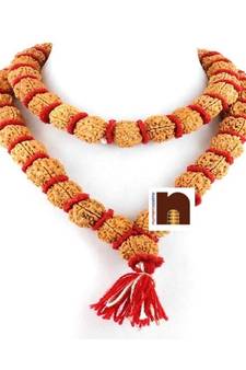  Original 5 Mukhi Rudraksha Kantha Mala Big Beads (54+1=55 Beads)(1 Pc)
