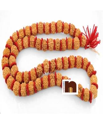  Original 5 Mukhi Rudraksha Kantha Mala Big Beads (54+1=55 Beads)(1 Pc) 2
