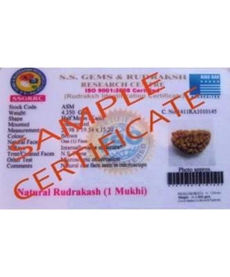 1 Mukhi | One Faced Lab Certified Rudraksha In Om Shape Brass Pendant (1 Pc) 1