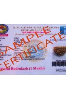 1 Mukhi | One Faced Lab Certified Rudraksha In Om Shape Brass Pendant (1 Pc)