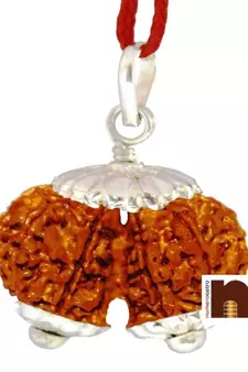 Gauri Shankar Rudraksha Pendant with Lab Certificate (Indonesian Small Bead) (1 Pc)