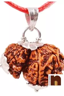 Gauri Shankar Rudraksha Pendant with Lab Certificate (Indonesian Small Bead) (1 Pc)