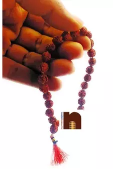 5 Mukhi Rudraksha Mala For Jaap (27 Beads) (1 Pc)
