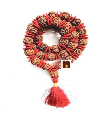 5 Mukhi Rudraksha Kantha Mala Big Beads (32+1=33 Beads) 2