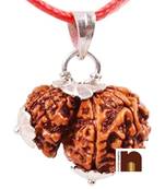 Gauri Shankar Rudraksha Pendant with Lab Certificate (Nepali Bead) (1 Pc)