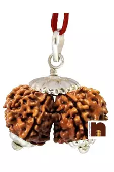 Gauri Shankar Rudraksha Pendant with Lab Certificate (Nepali Bead) (1 Pc)
