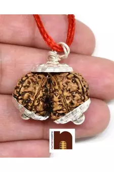 Gauri Shankar Rudraksha Pendant with Lab Certificate (Nepali Bead) (1 Pc)