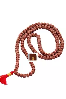 9 Mukhi | Nine Faced Rudraksha Mala (Indonesian Java Beads) with Lab Certificate (1 Pc)