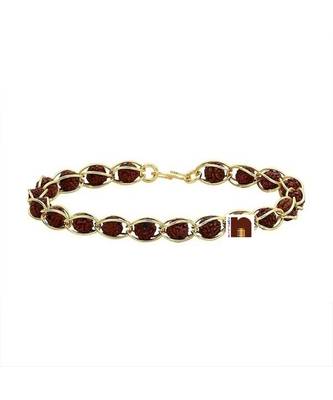 5 Mukhi Rudraksha In Gold Plated Chain Bracelet (1 Pc) 1