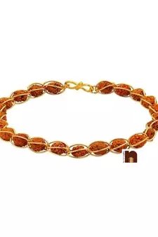5 Mukhi Rudraksha In Gold Plated Chain Bracelet (1 Pc)