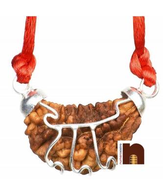 1 Mukhi Rudraksha | One Face | Ek Mukhi Pendant With Lab Certificate (White Metal Pendant) (1 Pc) 1