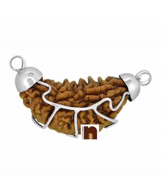 1 Mukhi Rudraksha | One Face | Ek Mukhi Pendant With Lab Certificate (White Metal Pendant) (1 Pc) 2