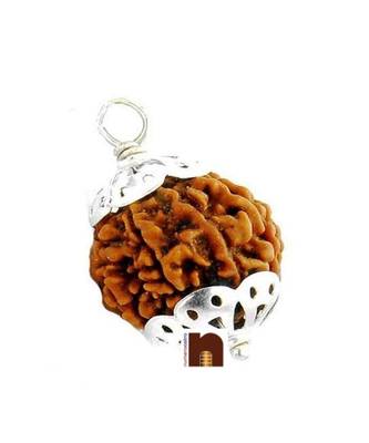 8 Mukhi Rudraksha | Eight Faced Rudraksha Pendant With Lab Certificate (1 Pc) 1