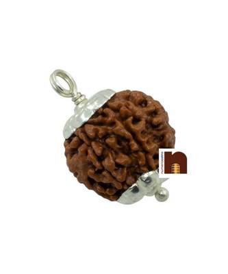 8 Mukhi Rudraksha | Eight Faced Rudraksha Pendant With Lab Certificate (1 Pc) 2