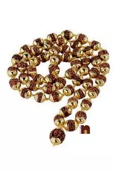 Rudraksha Mala With Gold Plated Caps (54+1 Beads) (1 Pc)
