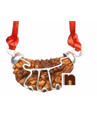 1 Mukhi Rudraksha Lab Certificate White Metal Pendant (1 Pc) 2