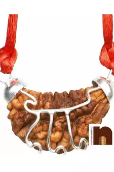 1 Mukhi Rudraksha Lab Certificate White Metal Pendant (1 Pc)
