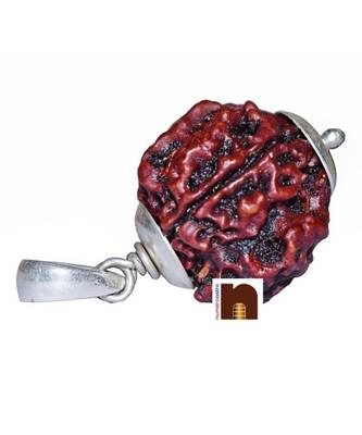 4 Mukhi Rudraksha | Four Faced Rudraksha Pendant With Lab Certificate (White Metal Pendant) (1 Pc) 2