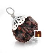 7 Mukhi Rudraksha | Seven Faced Rudraksha Pendant With Lab Certificate (1 Pc)